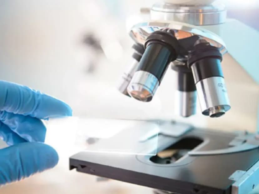 Lab Instruments & Supplies 